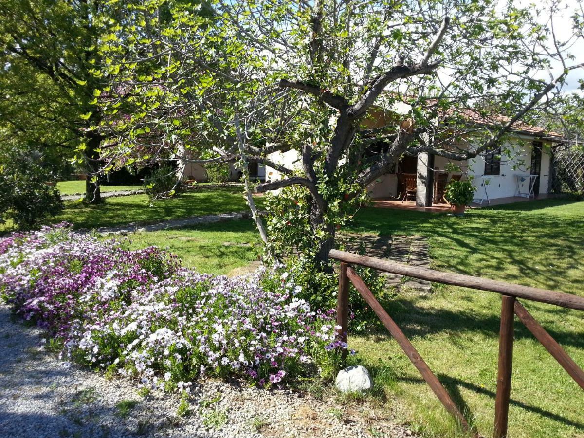Vila Agriturismo Sicomoro Capalbio Exteriér fotografie