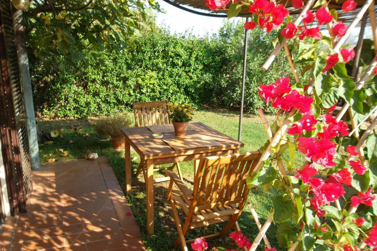 Vila Agriturismo Sicomoro Capalbio Exteriér fotografie